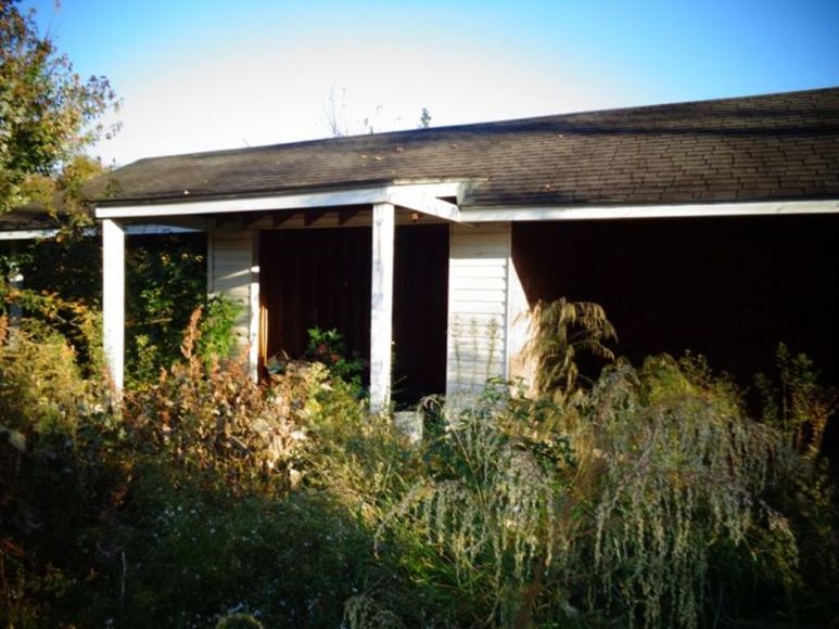 Image for 11 Acres - Woodland, NC