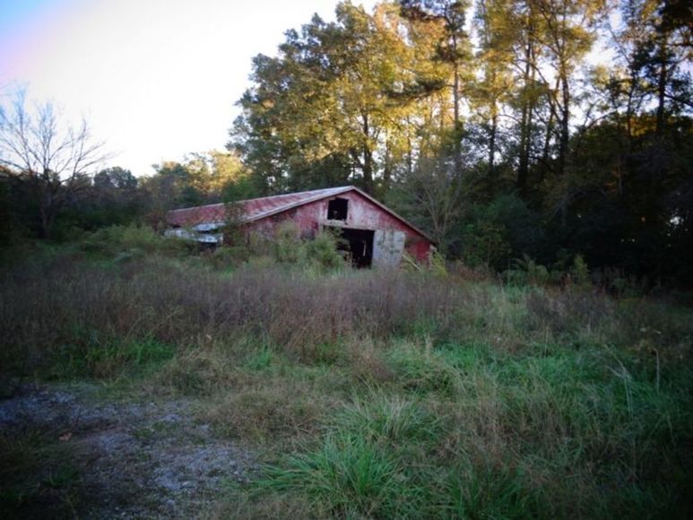 Image for 11 Acres - Woodland, NC