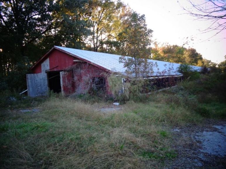 Image for 11 Acres - Woodland, NC