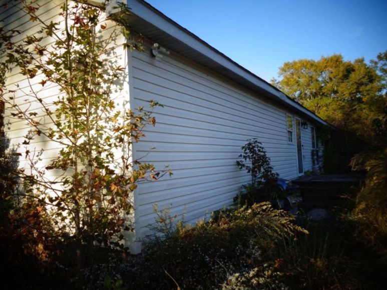 Image for 11 Acres - Woodland, NC