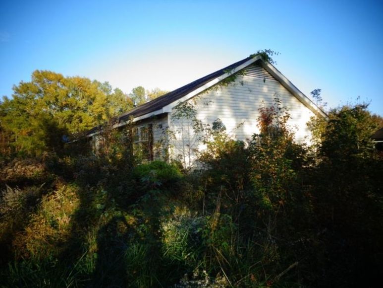 Image for 11 Acres - Woodland, NC