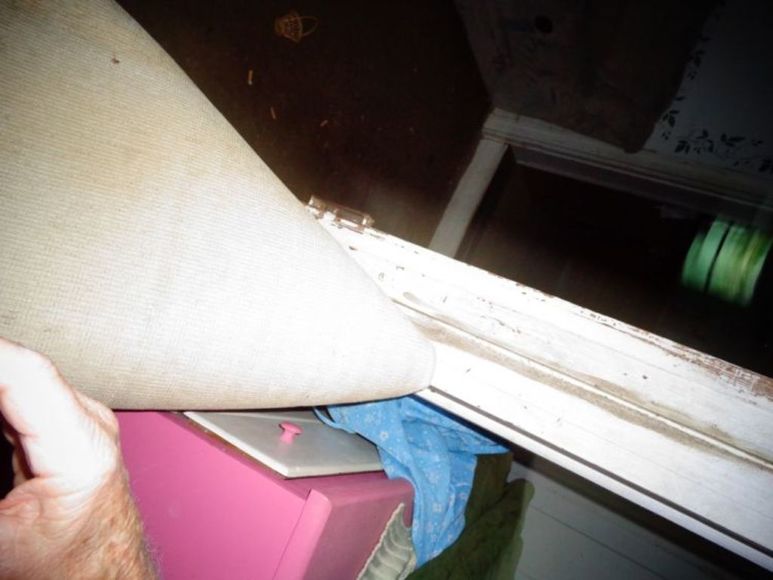 Image for 11 Acres - Woodland, NC