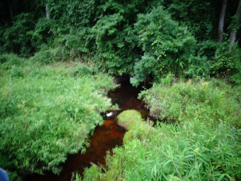 Moore County, NC Land Auction