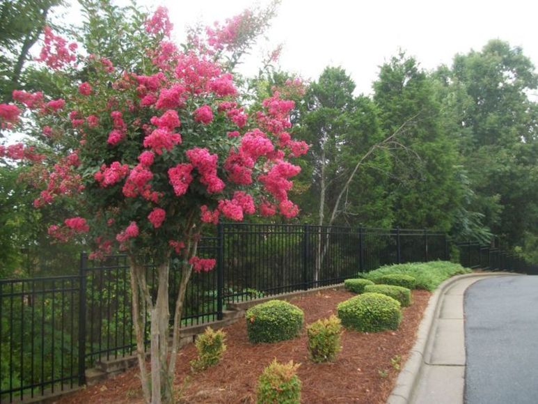 Image for Linville Professional Office Center
