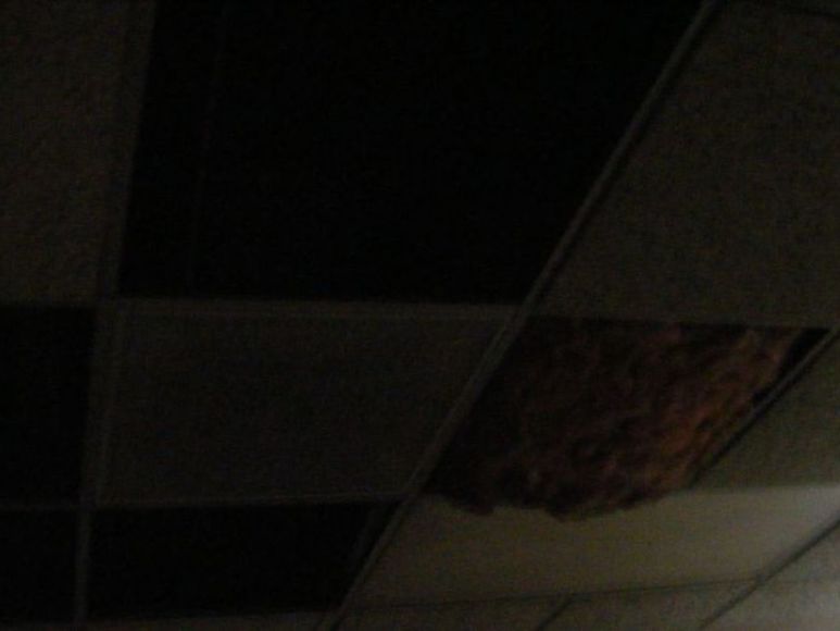 Image for Absolute Auction of Greensboro, NC Commercial Property