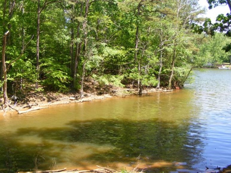 Absolute ONLINE Auction Waterfront Lots on High Rock Lake