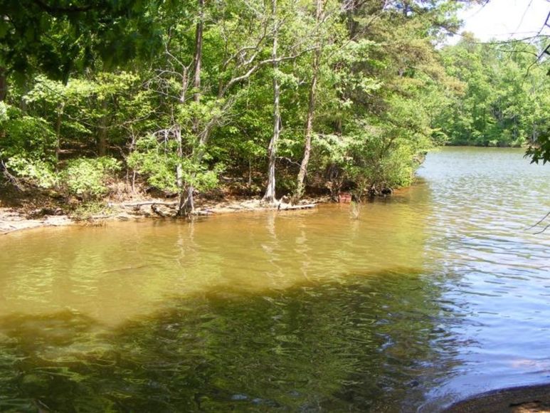 Absolute ONLINE Auction Waterfront Lots on High Rock Lake
