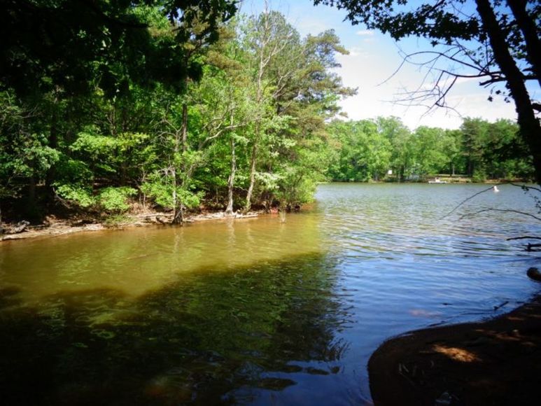 Absolute ONLINE Auction Waterfront Lots on High Rock Lake