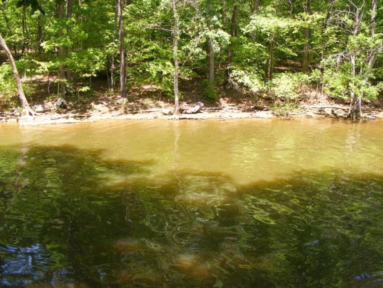 Absolute ONLINE Auction Waterfront Lots on High Rock Lake