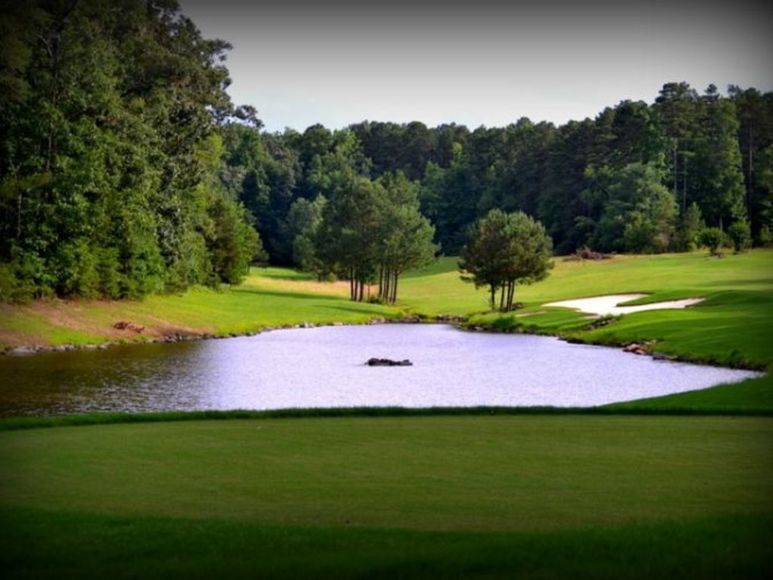Image for ONLINE ONLY - Lots in Tillery Tradition Country Club
