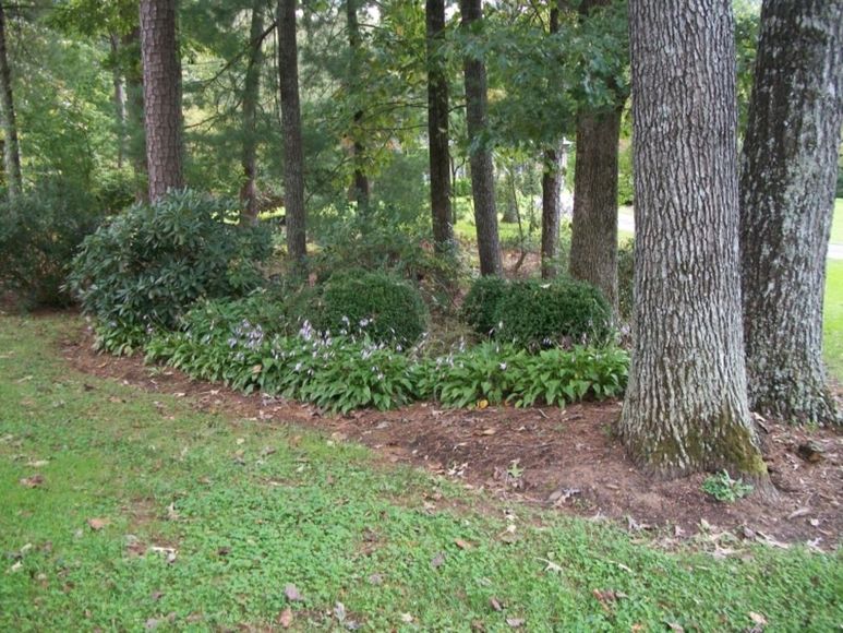 Image for Ava Hutchens Estate Auction--Mount Airy, NC