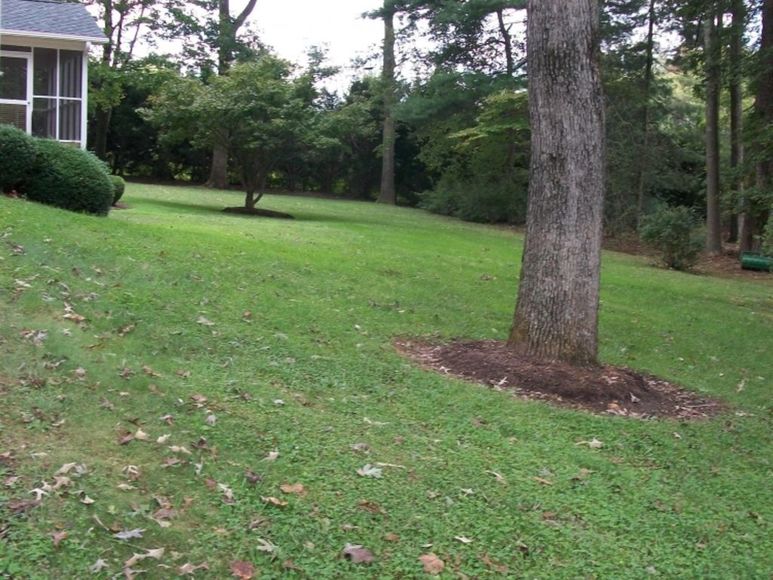 Image for Ava Hutchens Estate Auction--Mount Airy, NC