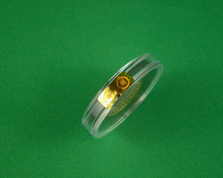 Image for GOLD HOARD EXPLODES IN CANADA