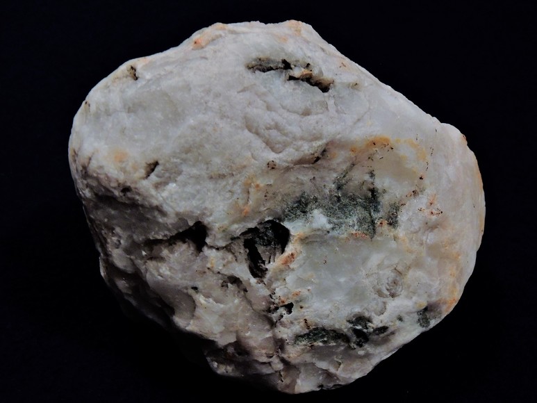 Image for AMMONITE PETRIFIED WOOD SHELL FOSSIL CRYSTALS