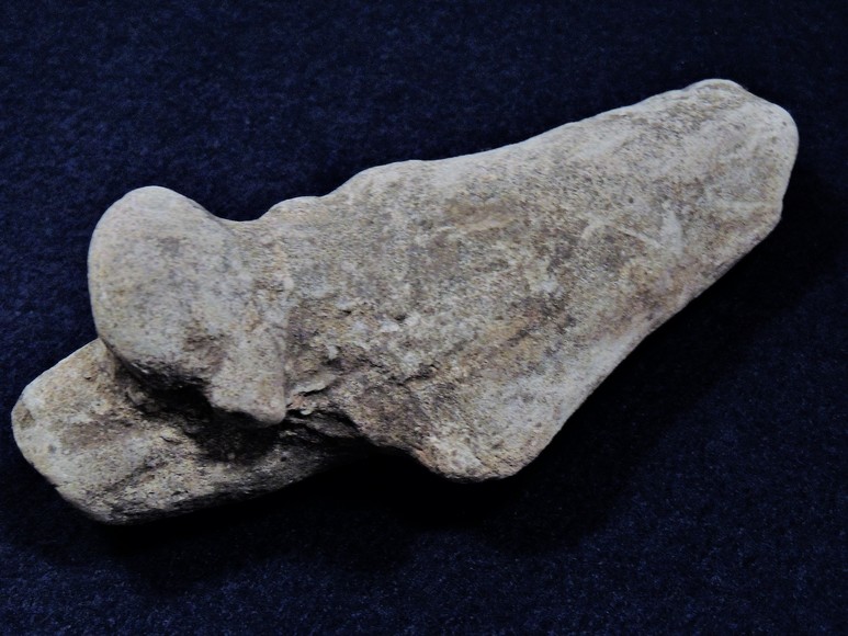 Image for AMMONITE PETRIFIED WOOD SHELL FOSSIL CRYSTALS