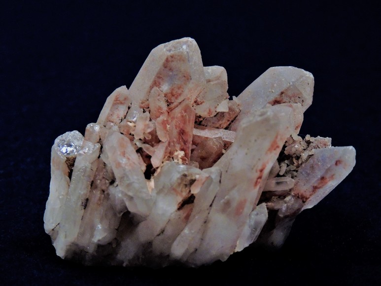 Image for AMMONITE PETRIFIED WOOD SHELL FOSSIL CRYSTALS