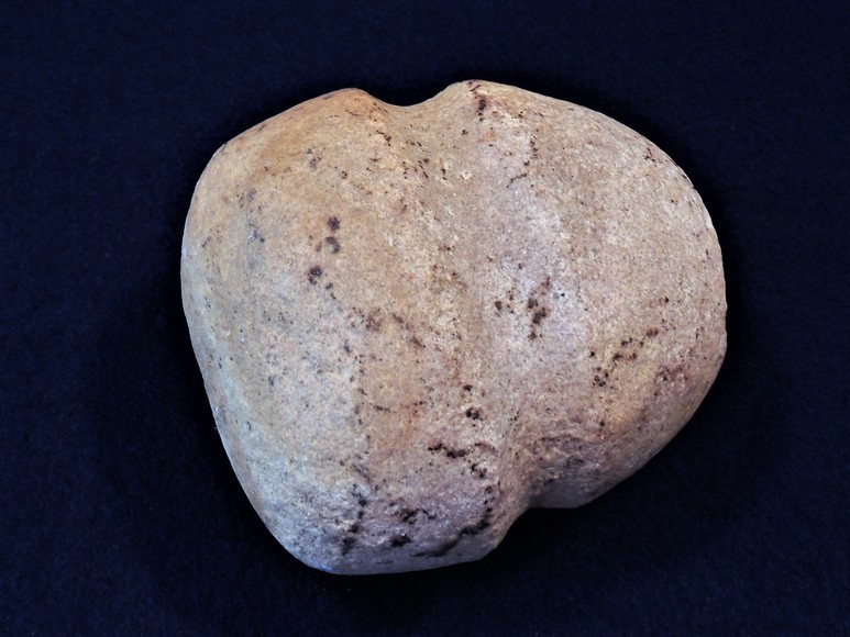 Image for AMMONITE PETRIFIED WOOD SHELL FOSSIL CRYSTALS