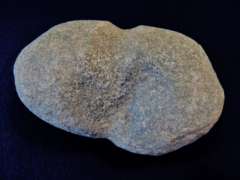 Image for AMMONITE PETRIFIED WOOD SHELL FOSSIL CRYSTALS