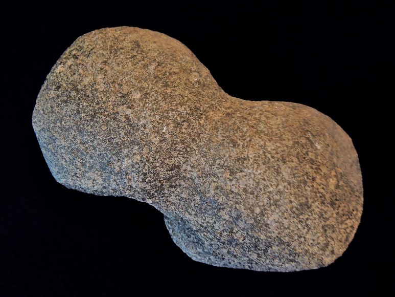 Image for AMMONITE PETRIFIED WOOD SHELL FOSSIL CRYSTALS