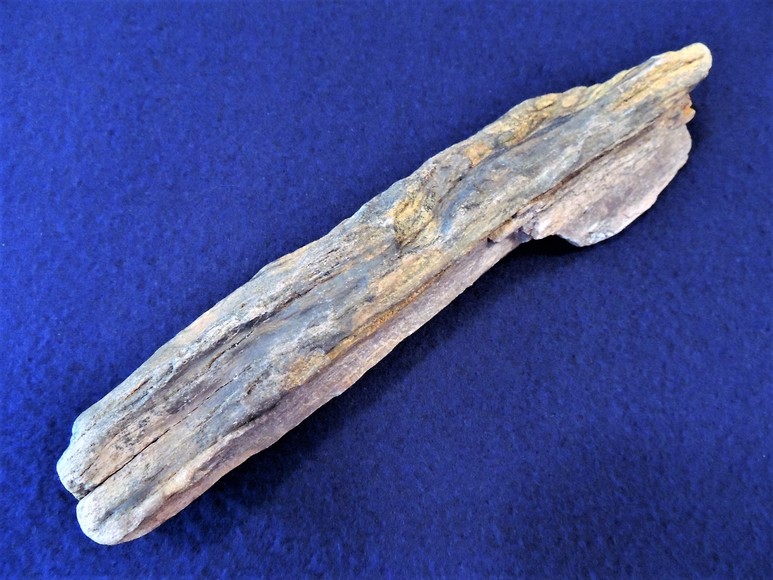 Image for AMMONITE PETRIFIED WOOD SHELL FOSSIL CRYSTALS