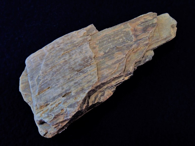 Image for AMMONITE PETRIFIED WOOD SHELL FOSSIL CRYSTALS