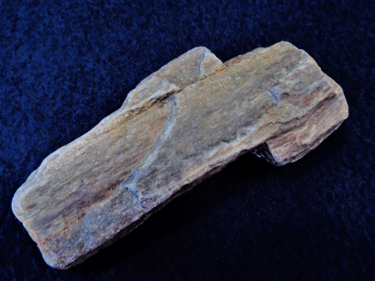 Image for AMMONITE PETRIFIED WOOD SHELL FOSSIL CRYSTALS