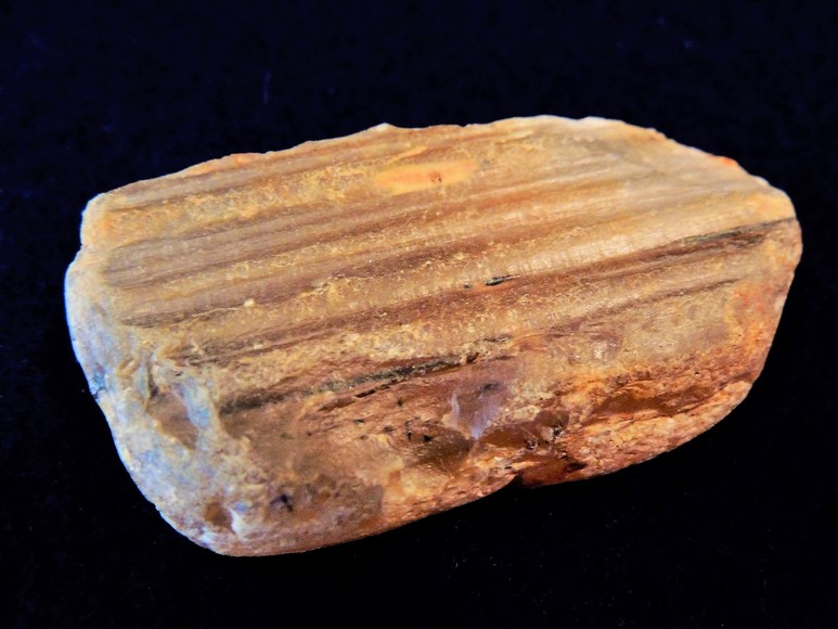 Image for AMMONITE PETRIFIED WOOD SHELL FOSSIL CRYSTALS