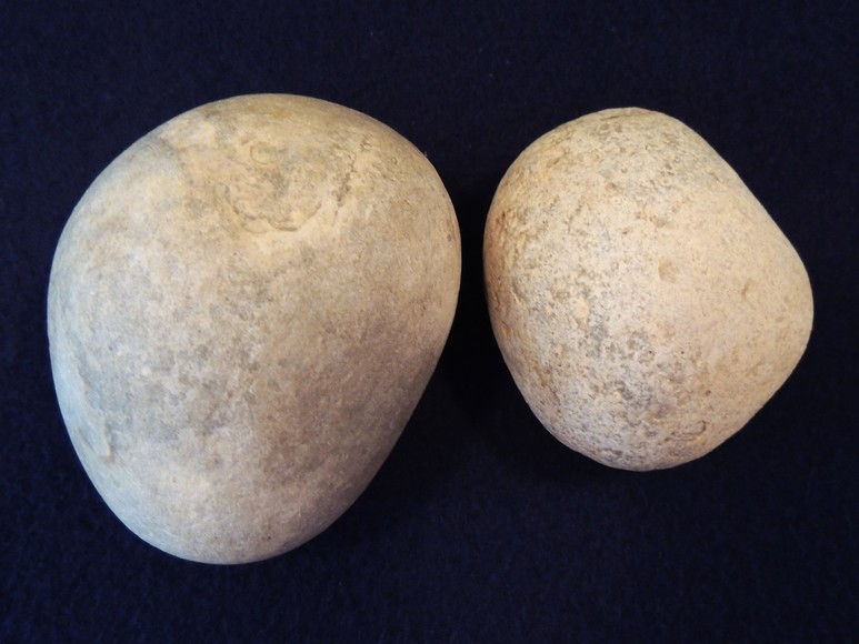 Image for AMMONITE PETRIFIED WOOD SHELL FOSSIL CRYSTALS