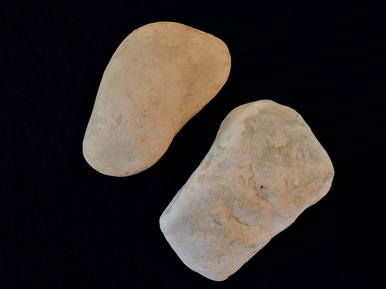 Image for AMMONITE PETRIFIED WOOD SHELL FOSSIL CRYSTALS