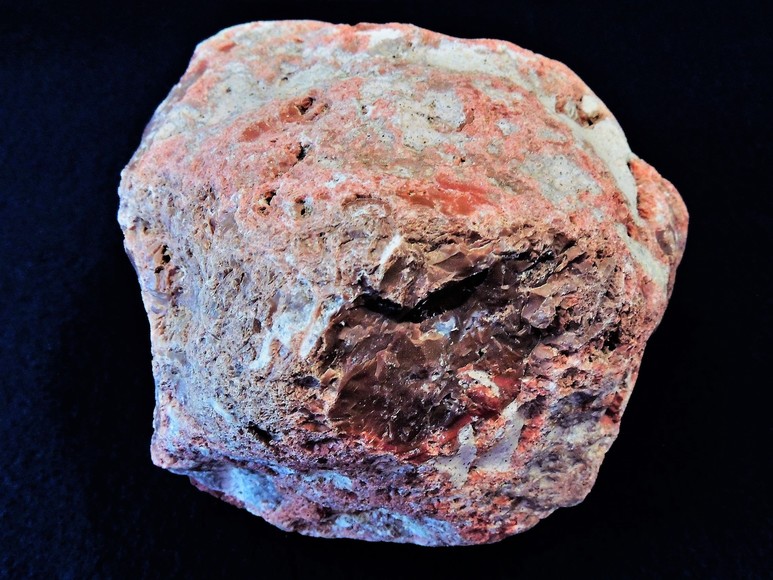 Image for AMMONITE PETRIFIED WOOD SHELL FOSSIL CRYSTALS