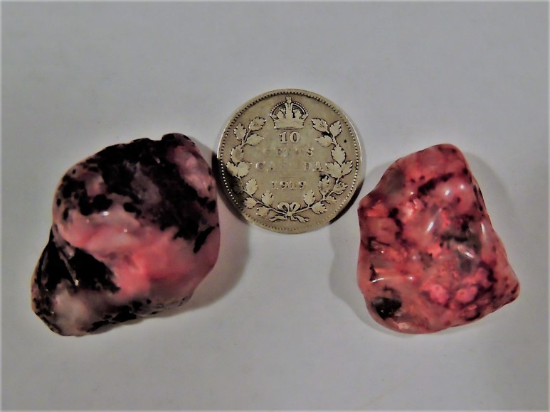 Image for AMMONITE PETRIFIED WOOD SHELL FOSSIL CRYSTALS