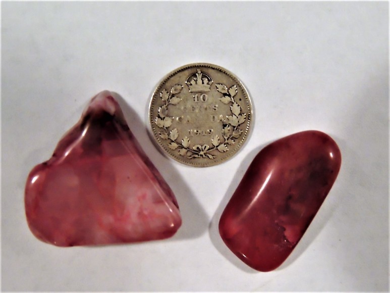 Image for AMMONITE PETRIFIED WOOD SHELL FOSSIL CRYSTALS