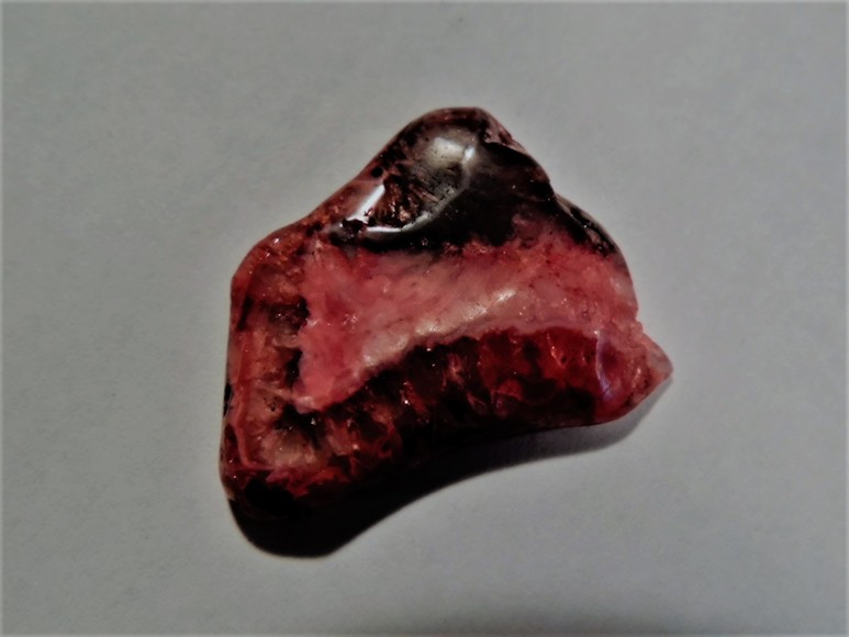 Image for AMMONITE PETRIFIED WOOD SHELL FOSSIL CRYSTALS