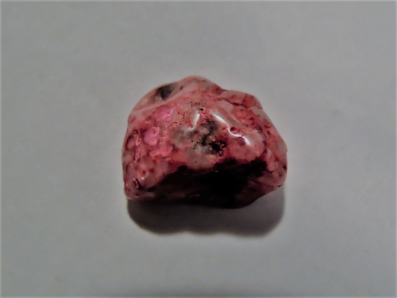 Image for AMMONITE PETRIFIED WOOD SHELL FOSSIL CRYSTALS