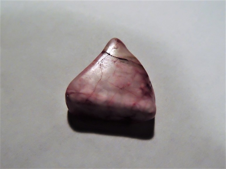 Image for AMMONITE PETRIFIED WOOD SHELL FOSSIL CRYSTALS