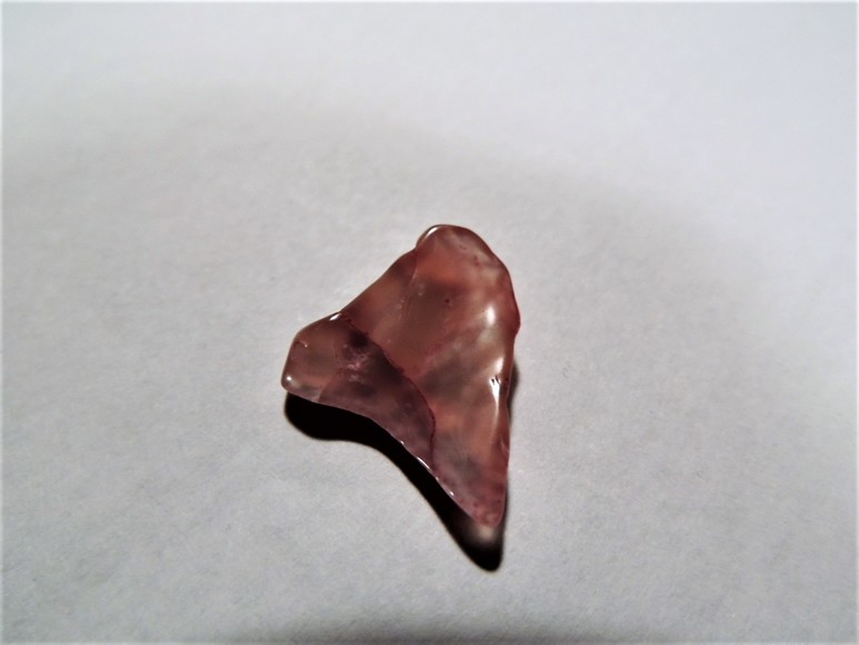 Image for AMMONITE PETRIFIED WOOD SHELL FOSSIL CRYSTALS