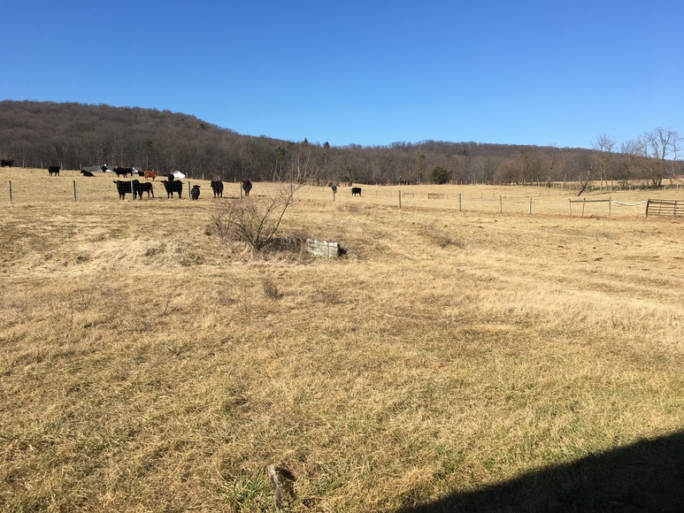 Image for TBD Buck Hill Road