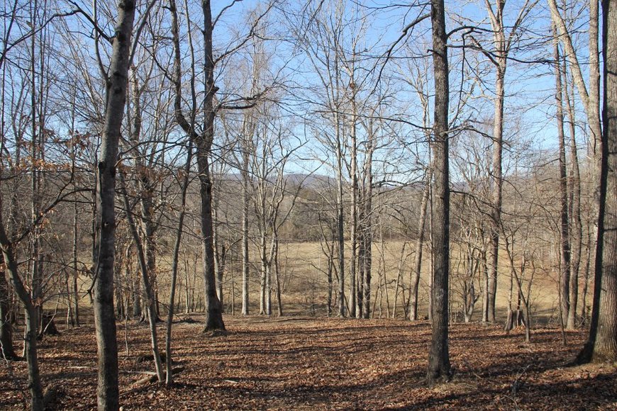 Image for 316 Acres near Charlottesville VA