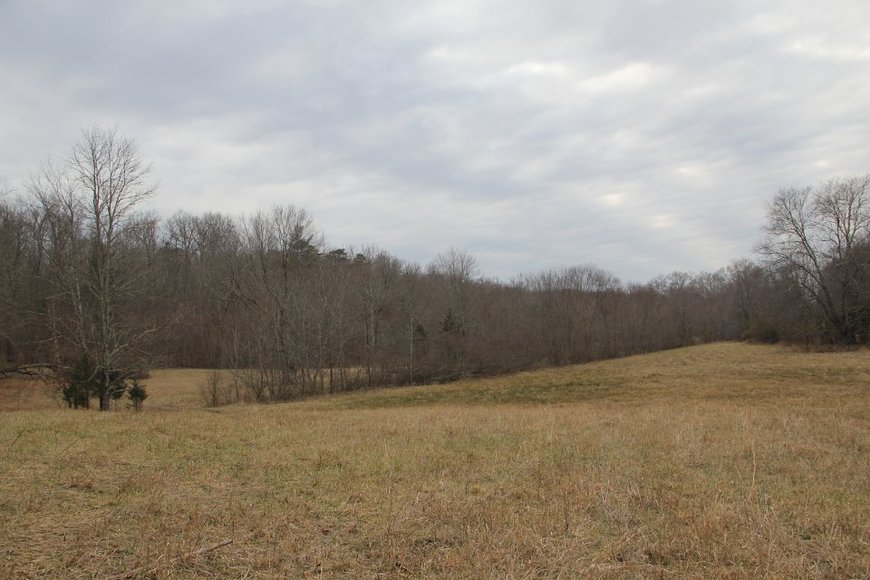 Image for 316 Acres near Charlottesville VA