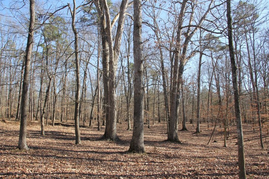 Image for 316 Acres near Charlottesville VA