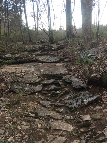 Image for 114 Acres / Morgan Rd., Rockvale, TN 37153