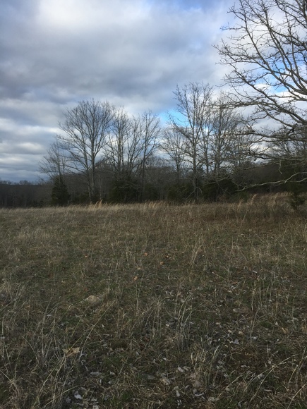 Image for 114 Acres / Morgan Rd., Rockvale, TN 37153