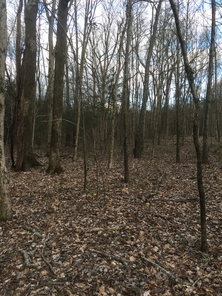 Image for 114 Acres / Morgan Rd., Rockvale, TN 37153