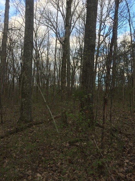 Image for 114 Acres / Morgan Rd., Rockvale, TN 37153