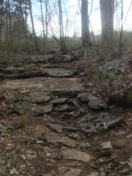 Image for 114 Acres / Morgan Rd., Rockvale, TN 37153