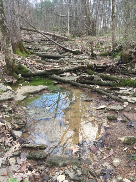 Image for 114 Acres / Morgan Rd., Rockvale, TN 37153