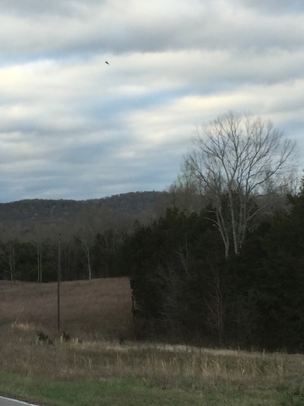 Image for 114 Acres / Morgan Rd., Rockvale, TN 37153