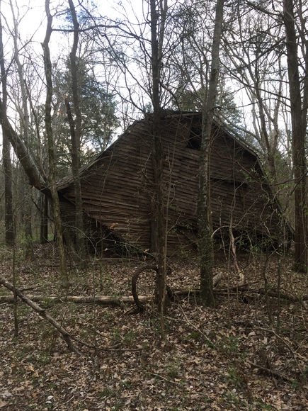 Image for 114 Acres / Morgan Rd., Rockvale, TN 37153