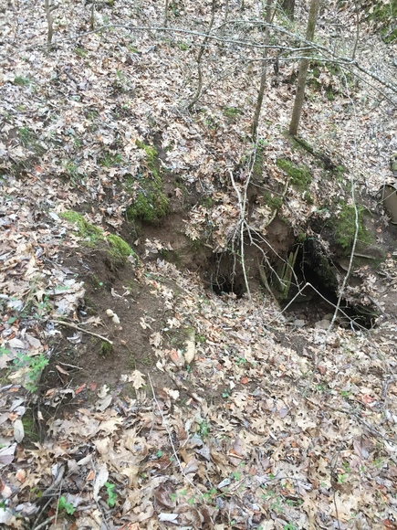 Image for 114 Acres / Morgan Rd., Rockvale, TN 37153