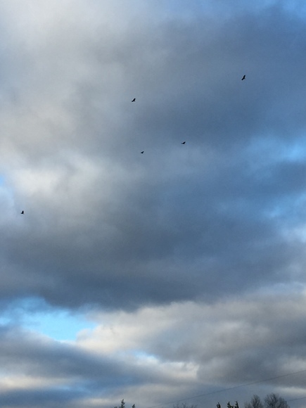 Image for 114 Acres / Morgan Rd., Rockvale, TN 37153